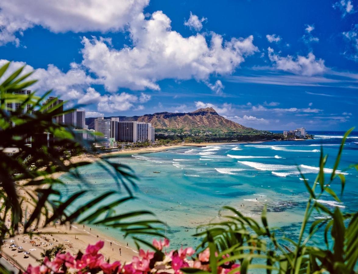 Great Diamond Head Views, 2Br Condo With Free Parking! Гонолулу Екстер'єр фото
